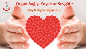 organ naklinde en duyarlı ilimiz