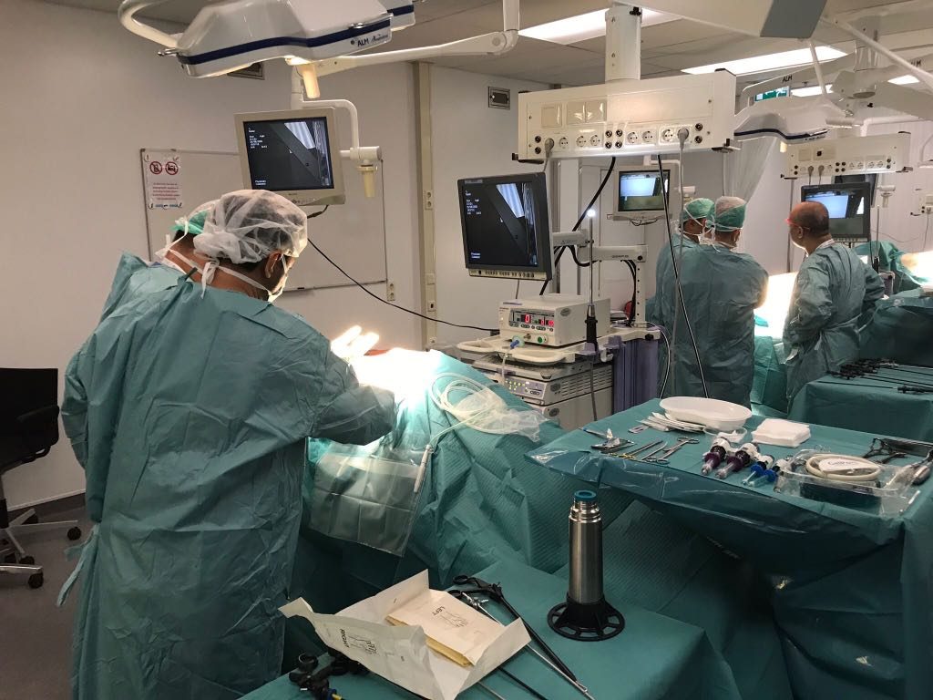 Avrupa Transplantasyon Derneği - Canlıdan Böbrek